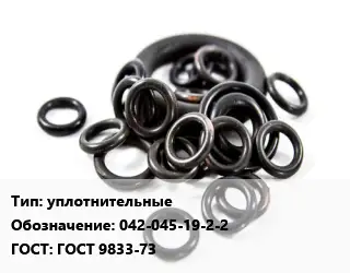 Кольцо РТИ уплотнительные 042-045-19-2-2 ГОСТ: ГОСТ 9833-73